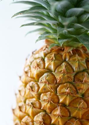 鳥取駅周辺で絶品焼肉を楽しむ！2025年最新おすすめ店ランキングと選び方